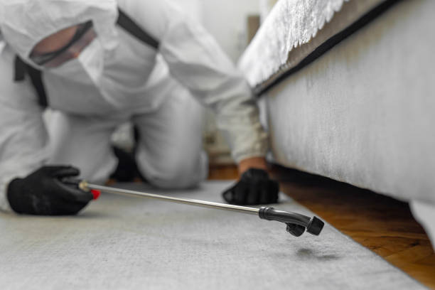 Professional Bed Bug Control technician working in San Dimas, CA