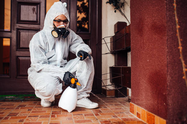 Reliable Bed Bug Control contractor in San Dimas, CA by Nex Pest Control