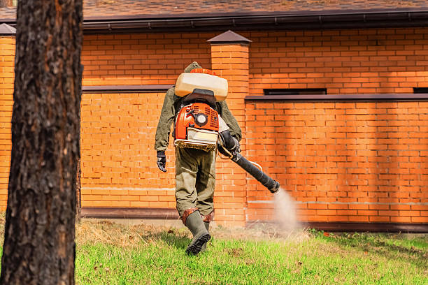 Trusted Cockroach Control service in San Dimas, CA - Nex Pest Control